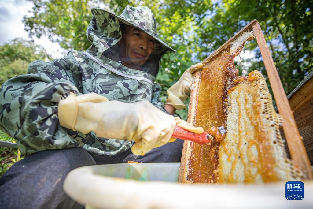 bb老虎机怎么得